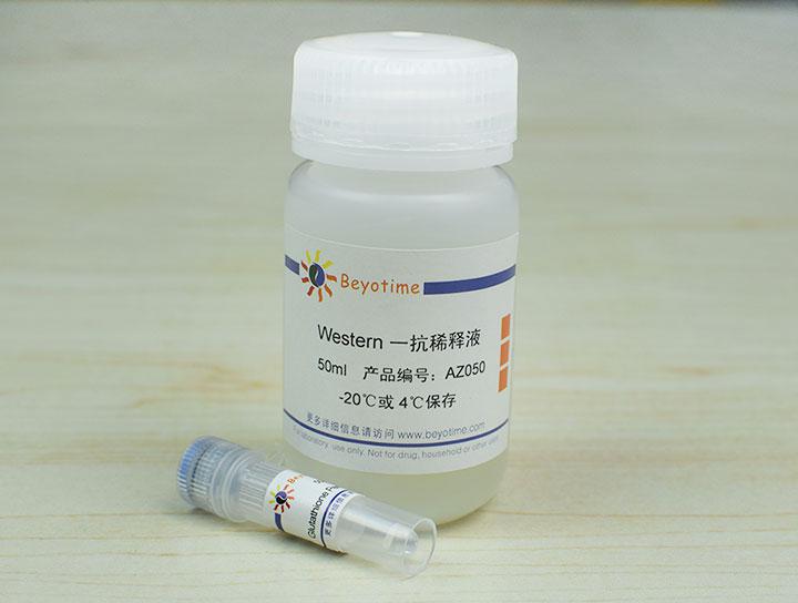 Glutathione Peroxidase 1 Mouse Monoclonal Antibody